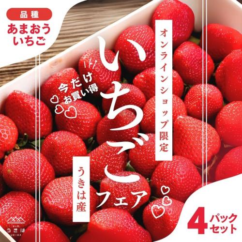 道の駅うきは オンラインショップ / あまおういちご4Pお買い得セット