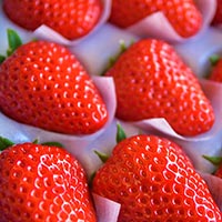 うきはのいちご(9～12粒入り)
