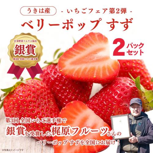 【銀賞受賞!】ベリーポップすず 2パックセット【梶原フルーツ】