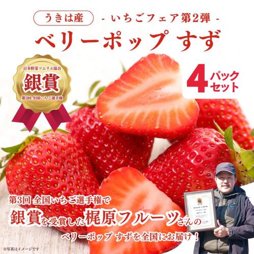 【銀賞受賞!】ベリーポップすず 4パックセット【梶原フルーツ】