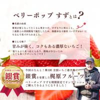 【銀賞受賞!】ベリーポップすず 4パックセット【梶原フルーツ】