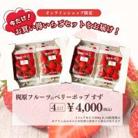 【銀賞受賞!】ベリーポップすず 4パックセット【梶原フルーツ】