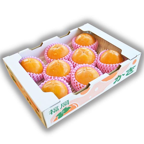 うきはの富有柿2L(贈答用・8～10玉入り)