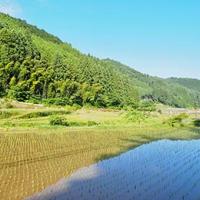【新米】小塩ほたる米(令和6年産米 3㎏)