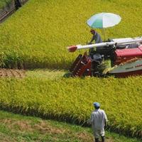 【新米】小塩ほたる米(令和6年産米 3㎏)