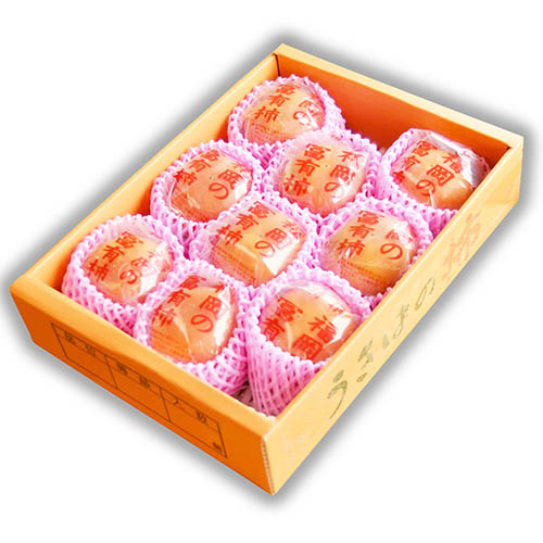 うきはの冷蔵富有柿2L(7～9玉入り)(贈答用にも)