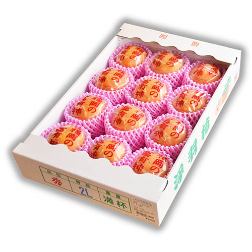 うきはの冷蔵富有柿2L(11玉～13玉入り)(贈答用にも)